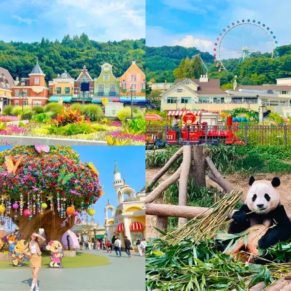 Hàn Quốc: Seoul - Nami - Everland 5 ngày 4 đêm | Tháng 9 2025 | Vietjet Air bay sáng