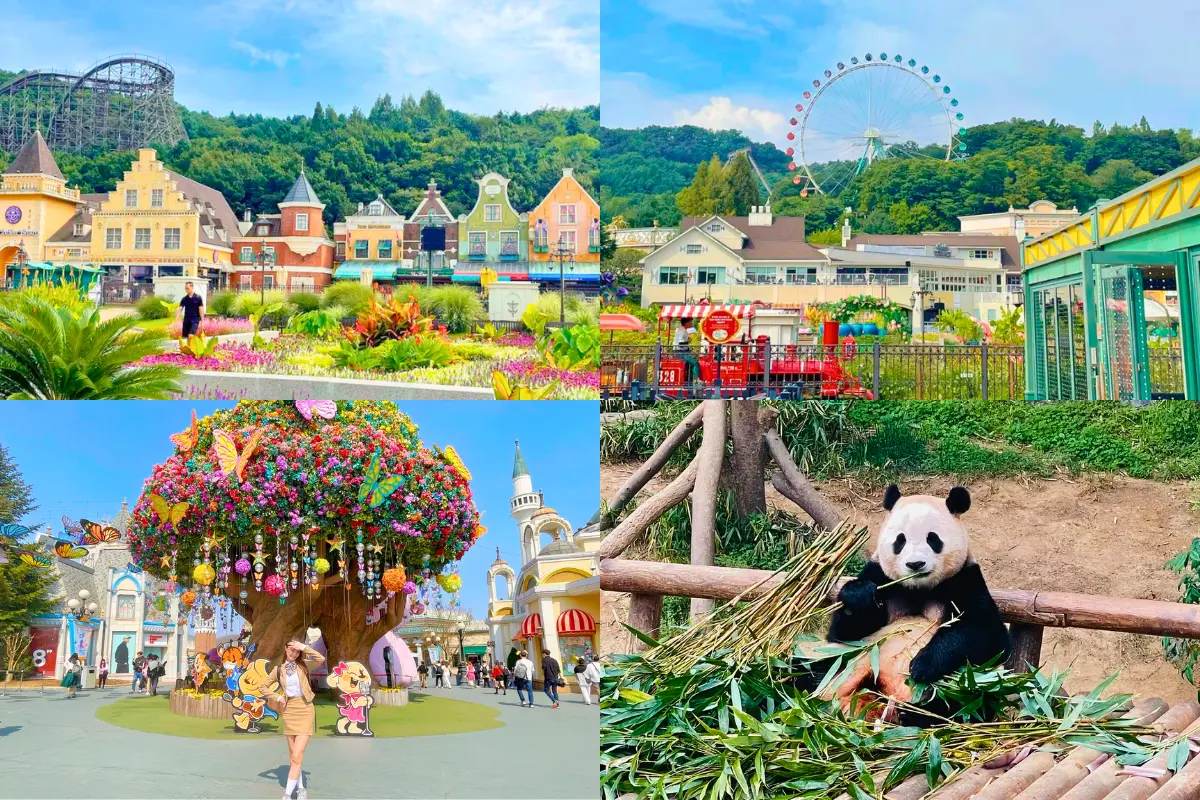 Hàn Quốc: Seoul - Nami - Everland 5 ngày 4 đêm | Tháng 9 2025 | Vietjet Air bay sáng
