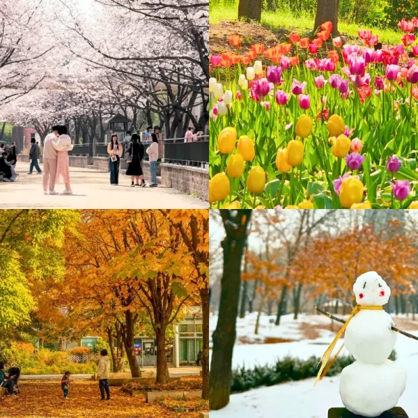 Hàn Quốc: Seoul - Nami - Everland 5 ngày 4 đêm | Tháng 9 2025 | Vietjet Air bay sáng