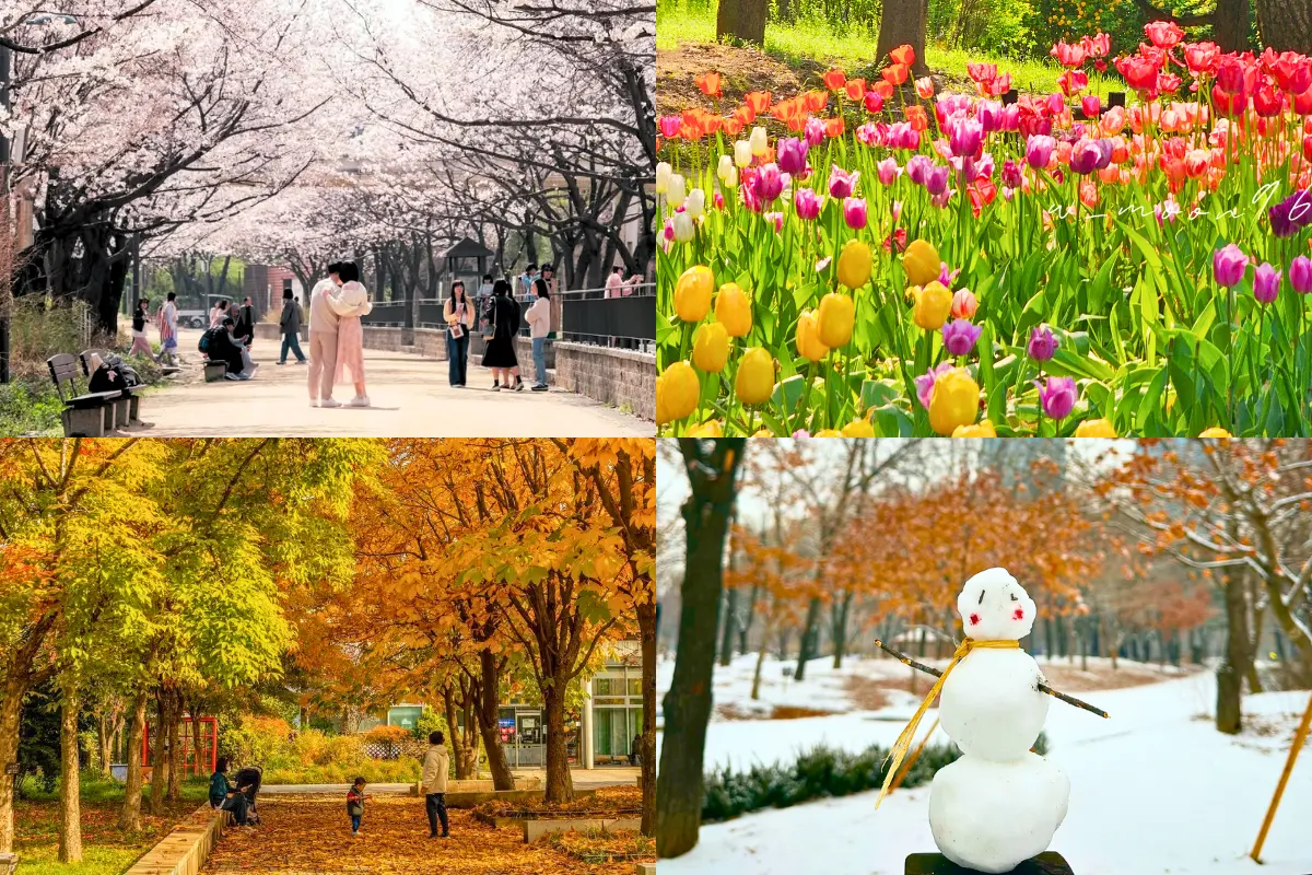 Hàn Quốc: Seoul - Nami - Everland 5 ngày 4 đêm | Tháng 9 2025 | Vietjet Air bay sáng