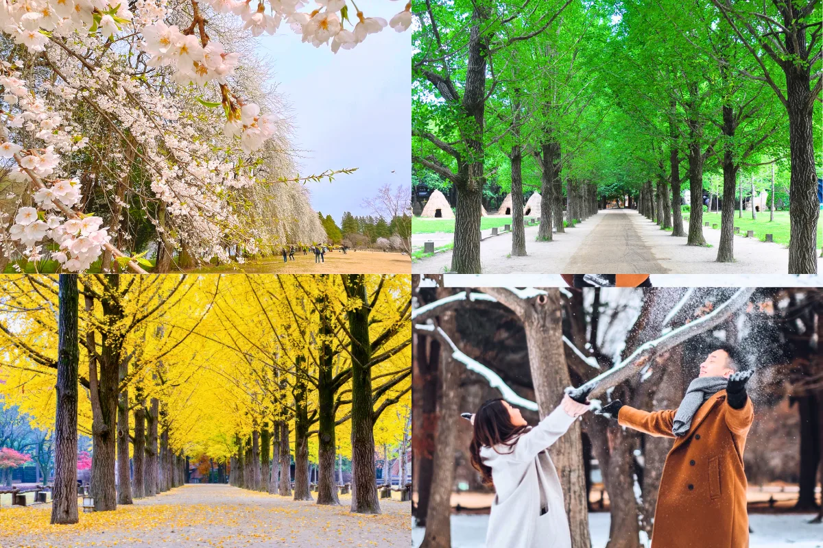 Hàn Quốc: Seoul - Nami - Everland 5 ngày 4 đêm | Tháng 9 2025 | Vietjet Air bay sáng