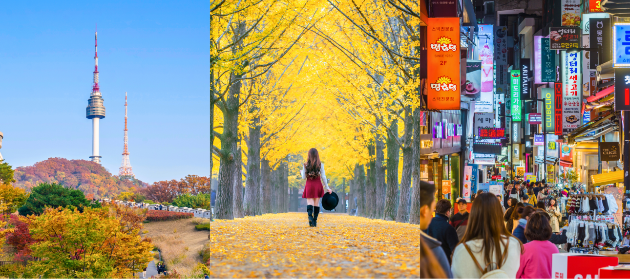 Hàn Quốc: Seoul - Nami - Everland 5 ngày 4 đêm | Tháng 9 2025 | Vietjet Air bay sáng