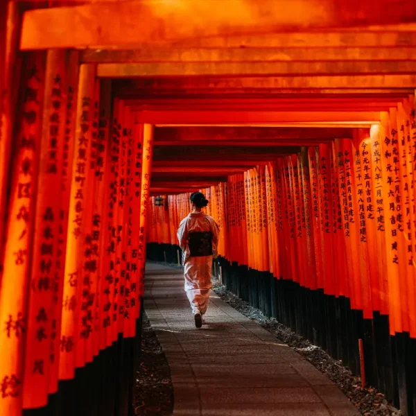 Nhật Bản Cung Đường Vàng: TOKYO – FUJI – NAGOYA – KYOTO – OSAKA | 6 Ngày 5 đêm | Tháng 3 2026 | Vietnam Airlines