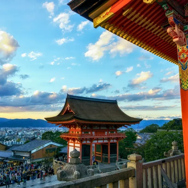 Nhật Bản Cung Đường Vàng: TOKYO – FUJI – NAGOYA – KYOTO – OSAKA | 6 Ngày 5 đêm | Tháng 3 2026 | Vietnam Airlines