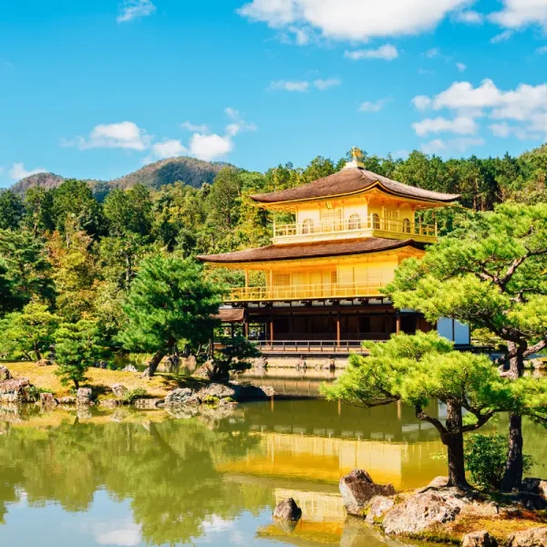 chua-vang-kinkakuji Nhật Bản Cung Đường Vàng: OSAKA – KOBE – KYOTO – NAGOYA – FUJI – TOKYO | 6 Ngày 5 đêm | Tháng 1 2026 | Vietnam Airlines