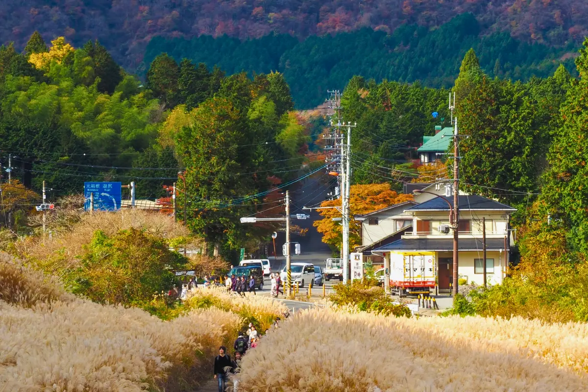dong-co-lau-sengokuhara Nhật Bản: Tokyo - Fuji | 5 ngày 4 đêm | Tháng 7 2025 | Vietjet Air