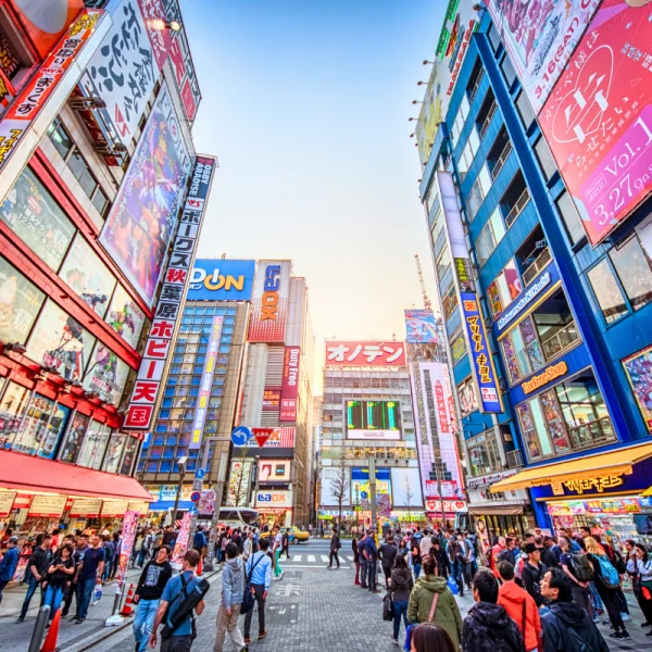 Nhật Bản Cung Đường Vàng: TOKYO – FUJI – NAGOYA – KYOTO – OSAKA | 6 Ngày 5 đêm | Tháng 2 2026 | Vietnam Airlines