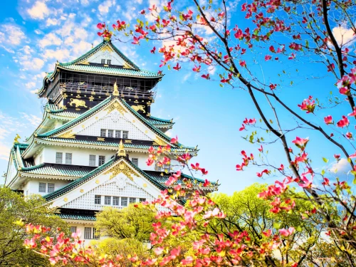 Nhật Bản Cung Đường Vàng: TOKYO – PHÚ SĨ – NAGOYA – KYOTO – OSAKA | 6 ngày 5 đêm | Tháng 9 2025 | Vietnam Airlines