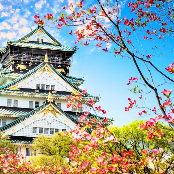 Nhật Bản Cung Đường Vàng: TOKYO – FUJI – NAGOYA – KYOTO – OSAKA | 6 Ngày 5 đêm | Tháng 3 2026 | Vietnam Airlines