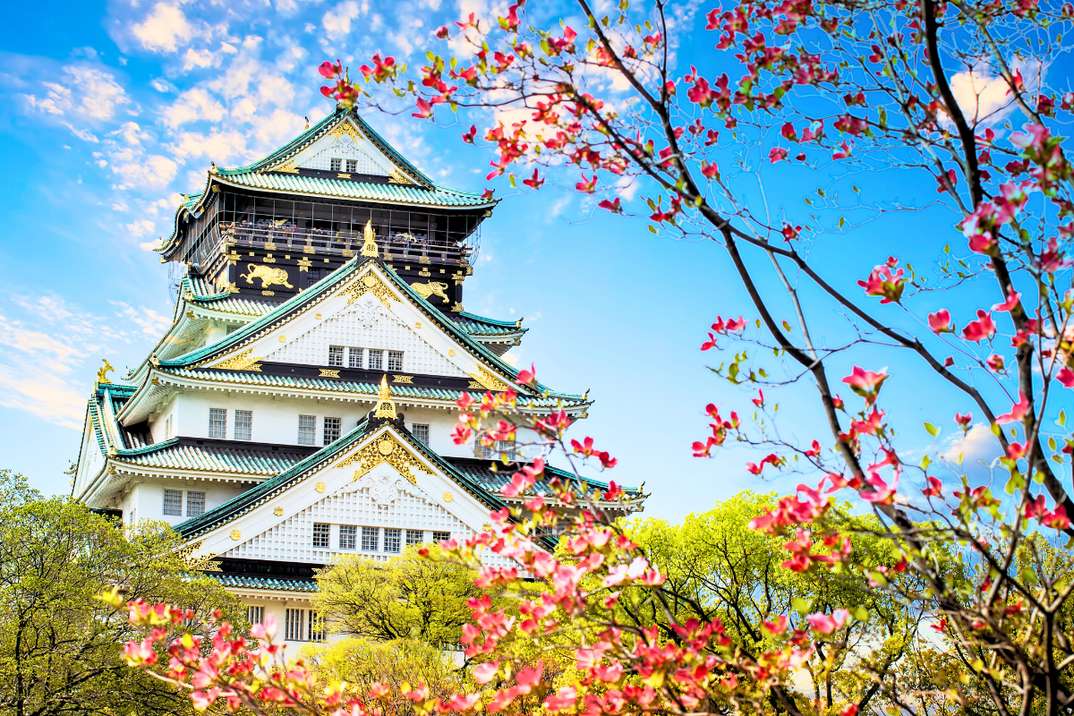 Nhật Bản Cung Đường Vàng: TOKYO – FUJI – NAGOYA – KYOTO – OSAKA | 6 Ngày 5 đêm | Tháng 3 2026 | Vietnam Airlines