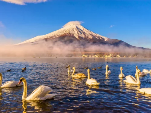 Nhật Bản: Tokyo – Fuji – Nagoya – Kyoto - Osaka | 6 Ngày 5 Đêm | Tháng 9 2026 | Vietnam Airlines