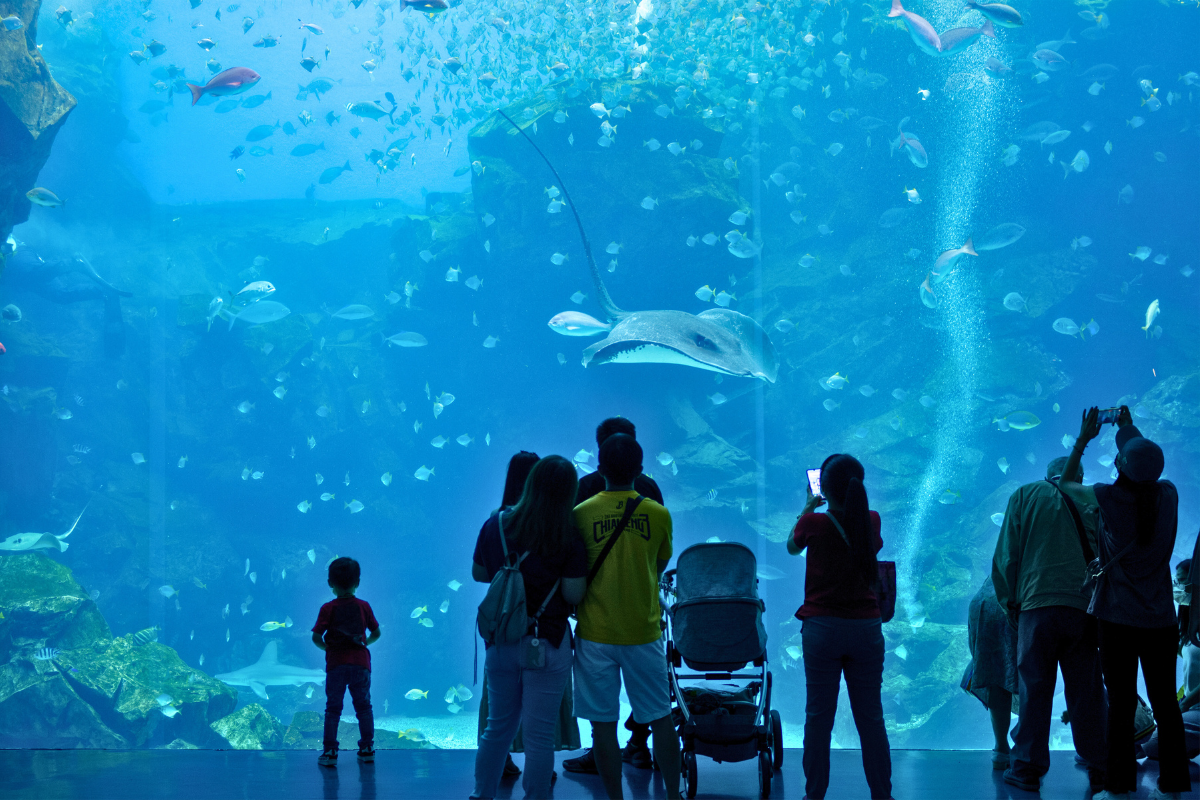 Tour Đài Loan tháng 8 - Thủy cung X Park