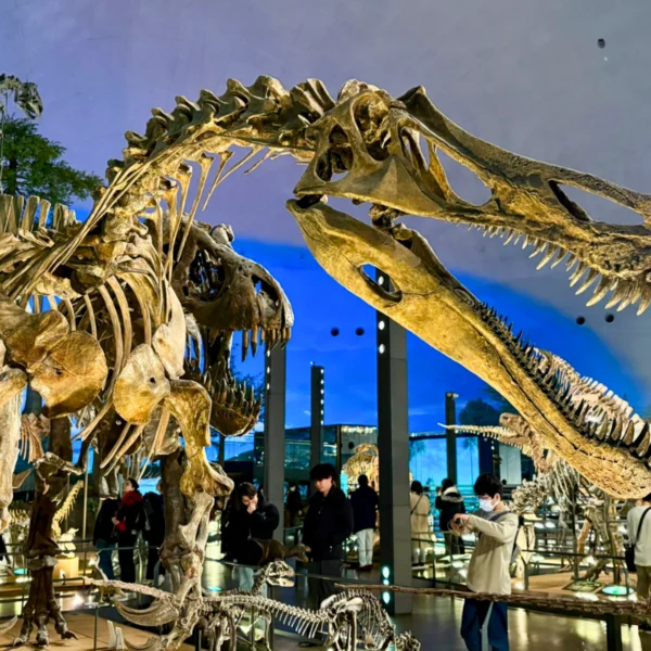 Nhật Bản Cung Cổ Tích: NAGOYA – TAKAYAMA– SHIRAKAWAGO – FUKUI – KYOTO – OSAKA  | 6 ngày 5 đêm | Tháng 11 2025 | Vietnam Airlines