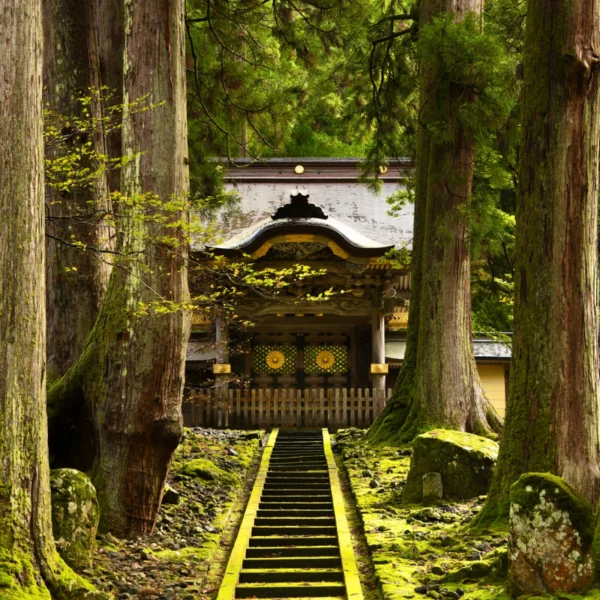 Nhật Bản Cung Cổ Tích: NAGOYA – TAKAYAMA– SHIRAKAWAGO – FUKUI – KYOTO – OSAKA  | 6 ngày 5 đêm | Tháng 11 2025 | Vietnam Airlines