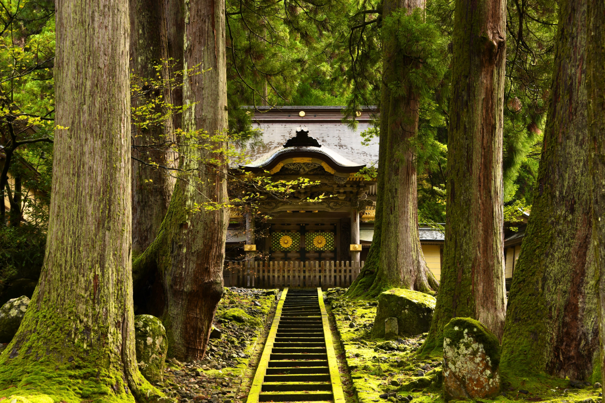 Nhật Bản Cung Cổ Tích: NAGOYA – TAKAYAMA– SHIRAKAWAGO – FUKUI – KYOTO – OSAKA  | 6 ngày 5 đêm | Tháng 11 2025 | Vietnam Airlines