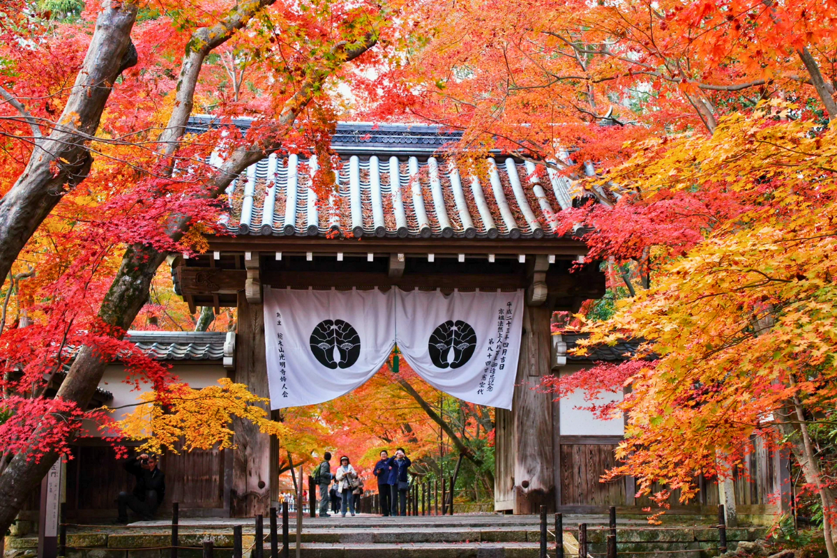 Nhật Bản Cung Cổ Tích: NAGOYA – TAKAYAMA– SHIRAKAWAGO – FUKUI – KYOTO – OSAKA  | 6 ngày 5 đêm | Tháng 11 2025 | Vietnam Airlines