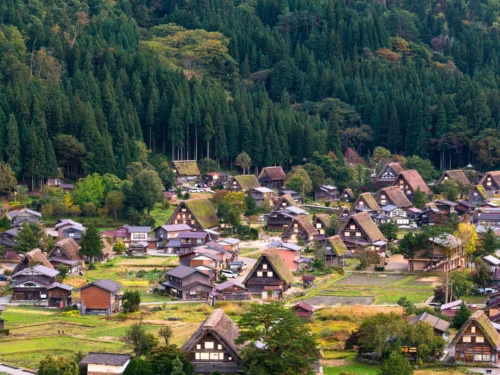 Nhật Bản Cung Cổ Tích: NAGOYA – TAKAYAMA– SHIRAKAWAGO – FUKUI – KYOTO – OSAKA  | 6 ngày 5 đêm | Tháng 11 2025 | Vietnam Airlines