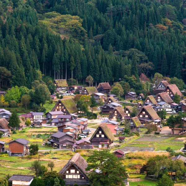 Nhật Bản Cung Cổ Tích: NAGOYA – TAKAYAMA– SHIRAKAWAGO – FUKUI – KYOTO – OSAKA  | 6 ngày 5 đêm | Tháng 11 2025 | Vietnam Airlines
