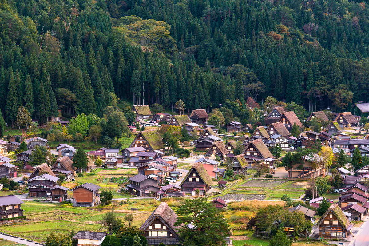 Nhật Bản Cung Cổ Tích: NAGOYA – TAKAYAMA– SHIRAKAWAGO – FUKUI – KYOTO – OSAKA  | 6 ngày 5 đêm | Tháng 11 2025 | Vietnam Airlines