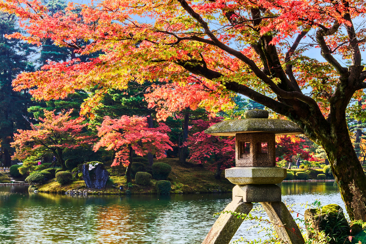 Nhật Bản Cung Cổ Tích: NAGOYA – TAKAYAMA– SHIRAKAWAGO – FUKUI – KYOTO – OSAKA  | 6 ngày 5 đêm | Tháng 11 2025 | Vietnam Airlines