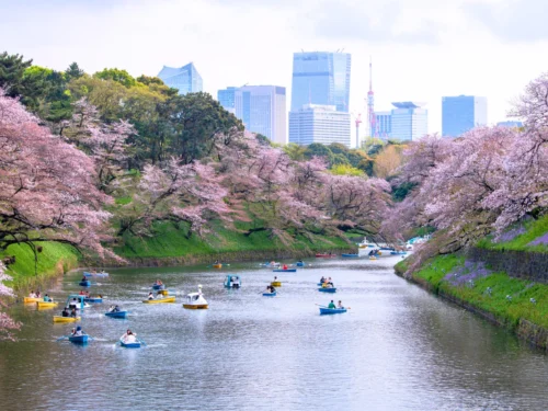 Nhật Bản Cung Đường Vàng: OSAKA – KOBE – KYOTO – NAGOYA – FUJI – TOKYO | 6 Ngày 5 đêm | Tháng 4 2026 | Vietjet Air
