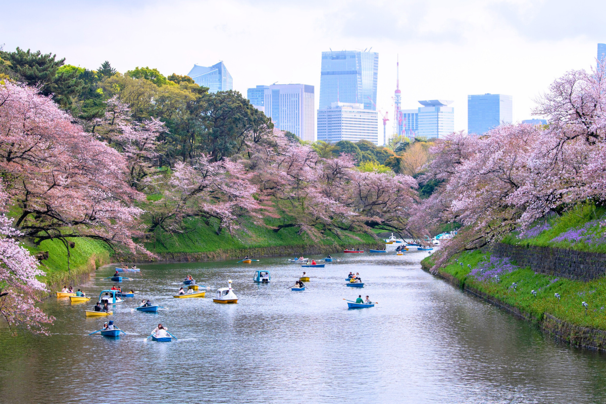 Nhật Bản Cung Đường Vàng: TOKYO – FUJI – NAGOYA – KYOTO – OSAKA | 6 Ngày 5 đêm | Tháng 3 2026 | Vietnam Airlines