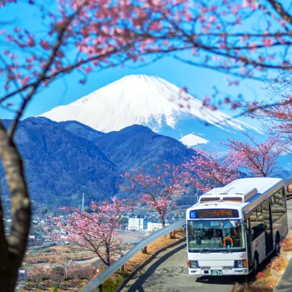Nhật Bản CDV Tết Âm Lịch 2026: TOKYO – FUJI – NAGOYA – KYOTO – OSAKA | 6 Ngày 5 đêm | Tháng 2 2026 | Vietnam Airlines