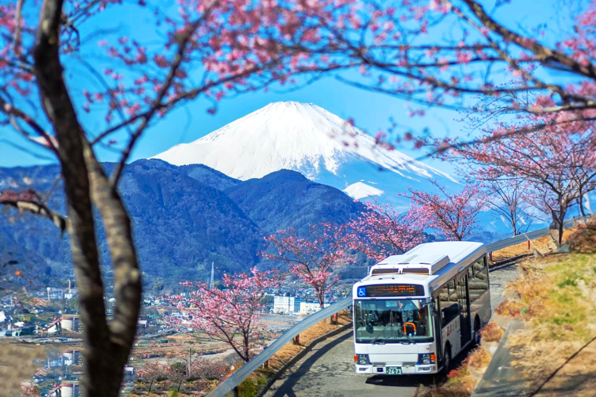 Nhật Bản CDV Tết Âm Lịch 2026: TOKYO – FUJI – NAGOYA – KYOTO – OSAKA | 6 Ngày 5 đêm | Tháng 2 2026 | Vietnam Airlines